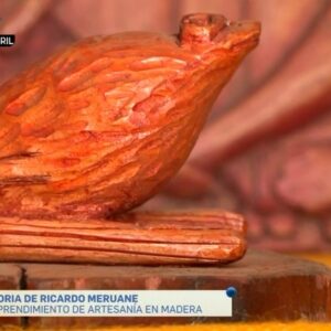 Productos Coleccionables
