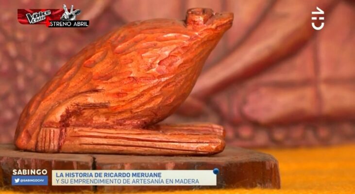 Productos Coleccionables